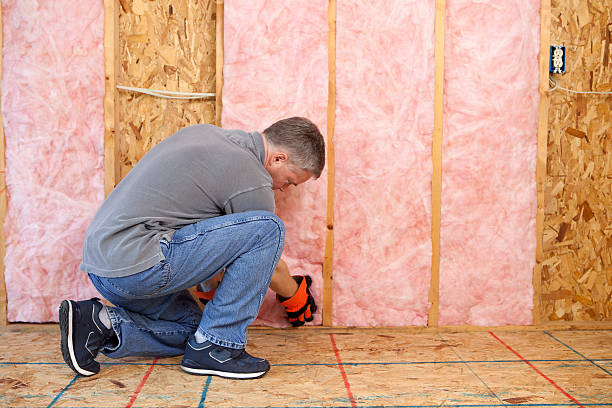 Best Commercial Insulation in Prudenville, MI